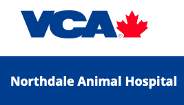 VCA Northdale Animal Hospital