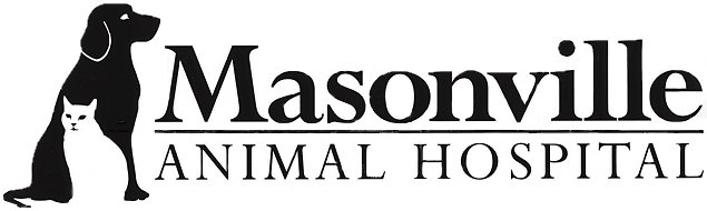 Masonville Animal Hospital