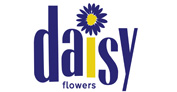 Daisy Flowers 