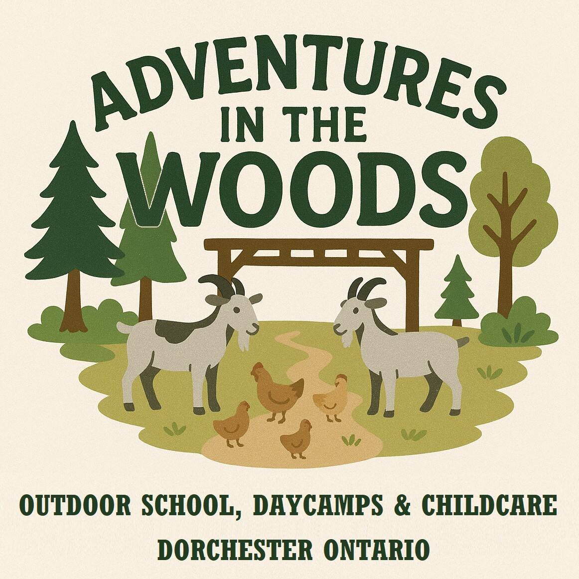 Adventure in the Woods